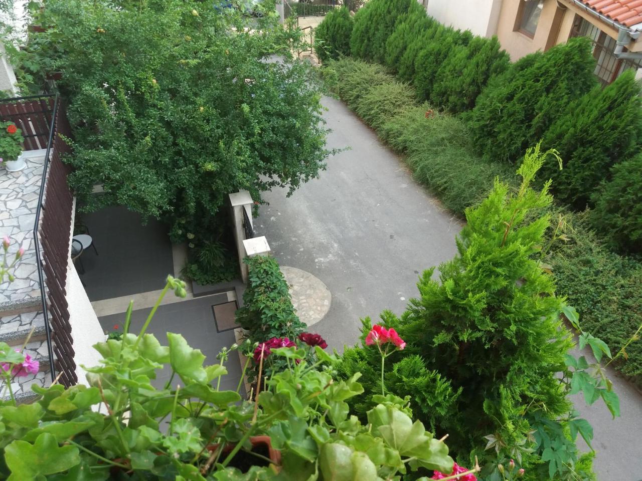 Villa Rosi Созополь Экстерьер фото